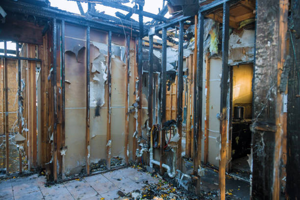 Professional Fire Damage Repair technician working in Everson, WA